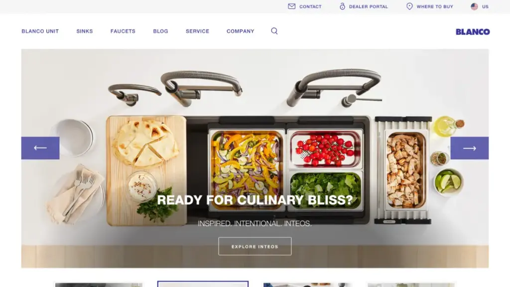 Top 10 Kitchen Sink Brands Blanco