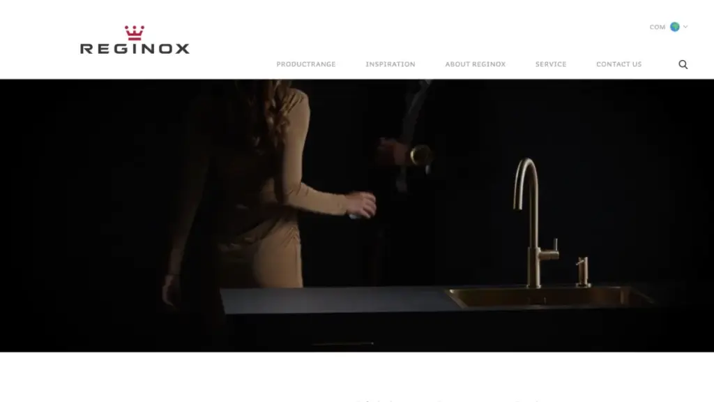 Top 10 Kitchen Sink Brands Reginox