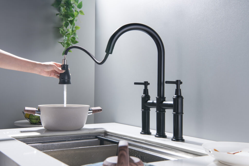 Pull Out Kitchen Faucets Whit Spray