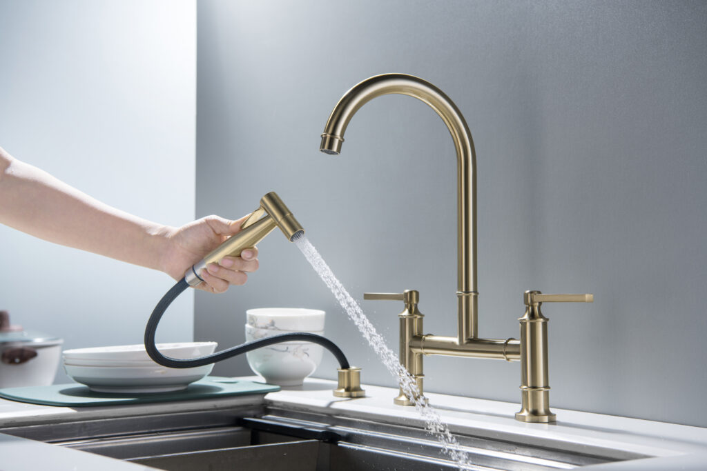 Pull Out Kitchen Faucets Whit Spray